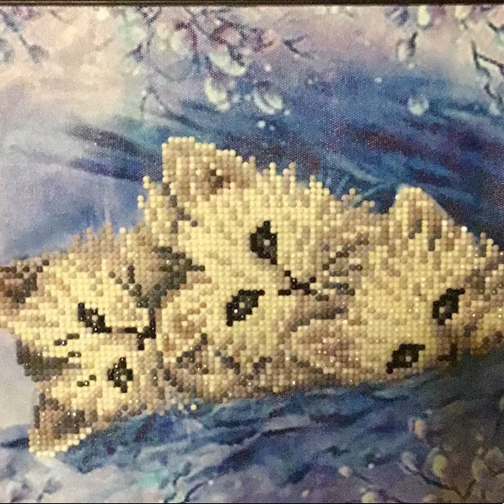 Family of cats framed diamond picture